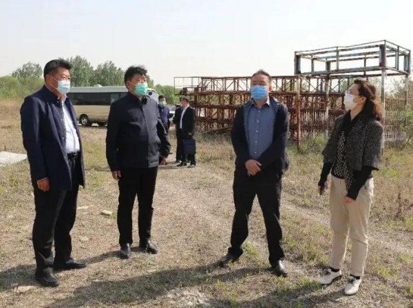 展鑫书记带队调研督导我区生态绿化提升等工作